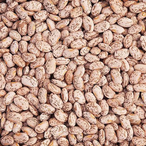 Pinto Beans